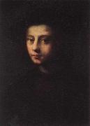 PULIGO, Domenico Portrait of Pietro Carnesecchi Sweden oil painting artist